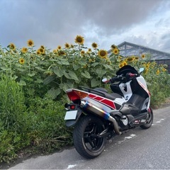 TMAX500  SJ08J 交換要相談の画像