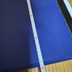 26日に引取り希望お散歩ロード。の画像