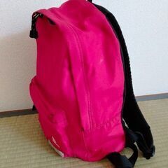 子供用　リュック　バッグ　赤　園児　小学生の画像