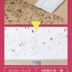 アイリスオーヤマ フローリングシート 40枚入 2個の画像