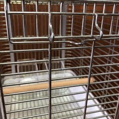 HOEI 小鳥用ゲージの画像