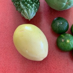 バラエティセットの画像