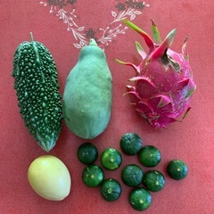 バラエティセットの画像