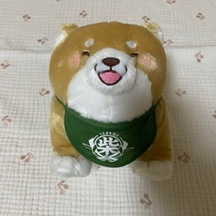 新品タグ付き　忠犬もちしば　きなこ　ぬいぐるみの画像