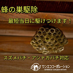 明石市の蜂の巣駆除｜アシナガ12,000円〜 即日対応・ぼったくりなし