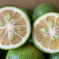 新鮮カボス⭐︎4kg⭐︎箱入りの画像