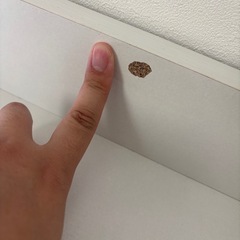 今月中限定 ダブルベッド2台連結タイプの画像