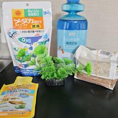 メダカ飼育セットの画像