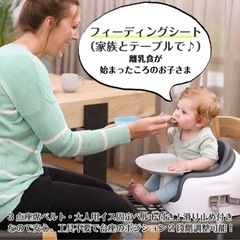 バンボ　マルチシートの画像