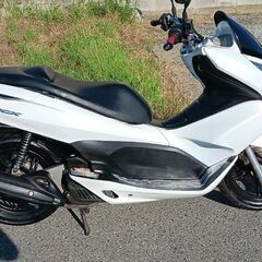 白PCX125.好調.始動動画.シグナス.トリシティ125.の画像
