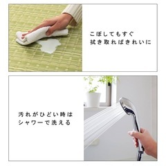 畳 マット ラグの画像