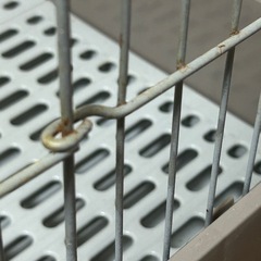 日曜日までの出品  小動物 ケージ 檻　の画像