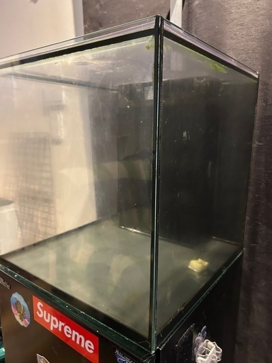 Red  Sea　45cmオーバーフロー水槽