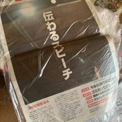 読売中高生新聞 2025年6月〜　57部の画像