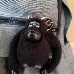kipling  リュックの画像