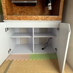 爬虫類ゲージと棚の画像