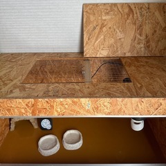 爬虫類ゲージと棚の画像