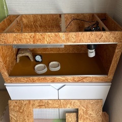 爬虫類ゲージと棚の画像