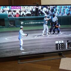 東芝 REGZA 49G20Xの画像