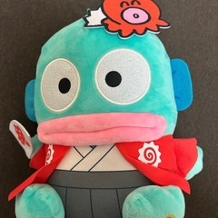 ハンギョドン　セットの画像