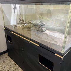 水槽の画像