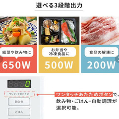 ◇美品2023年製◇アイリスオーヤマ◇電子レンジ◇の画像