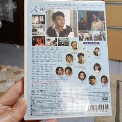 ぺ-ヨンジュン　海風の画像