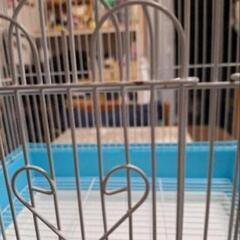 鳥かごマルカンの画像