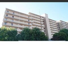 🌺🌺稲毛駅　ヴィルフォ－レ稲毛3番館　805　1LDK　1…