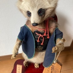 たぬき　剥製
の画像