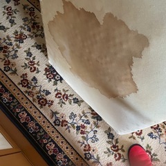 【汚れ破れ有】定価24万円　不眠に　ヘルスウェーブ　ゴールド　カイロプラクティック健康布団の画像
