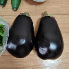 お盆明けのお野菜６点の画像