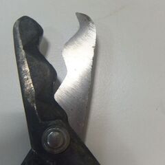 波板切り鋏の画像