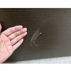 ニトリ　引き出し収納付きシングルベッドの画像