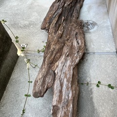 どっしり、男気ある　流木…天然物、インテリア、オブジェの画像