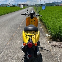 ホンダトゥデイ50cc絶好調美品
の画像