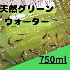 天然グリーンウォーターの画像