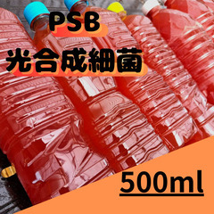 【メダカ用 PSB（光合成細菌液）】の画像