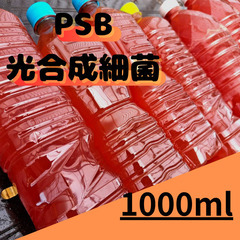 【メダカ用 PSB（光合成細菌液）】の画像