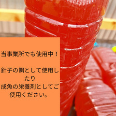 【メダカ用 PSB（光合成細菌液）】の画像
