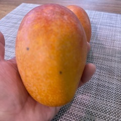 マンゴー 430g前後 2個の画像