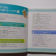 本 犬 トイプードルの飼い方の画像