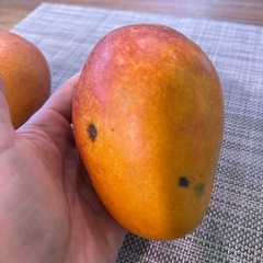 マンゴー① 530g前後 2個の画像