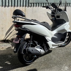 pcx81の画像