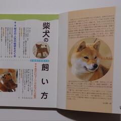 本 犬 柴犬の飼い方の画像
