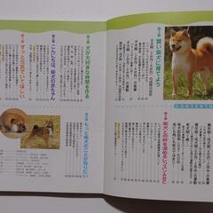 本 犬 柴犬の飼い方の画像