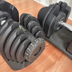 RIORES 可変式 ダンベル 17段階調節 40kg の画像