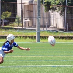 金沢伏見ラグビースクール🏉（小学生）の画像