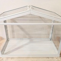 【生産終了品】　IKEA SOCKER イケア ソッケル 温室 観葉植物の画像