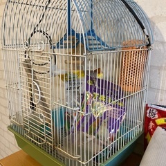 鳥かご(インコ) エサ＆ヒーター付きの画像